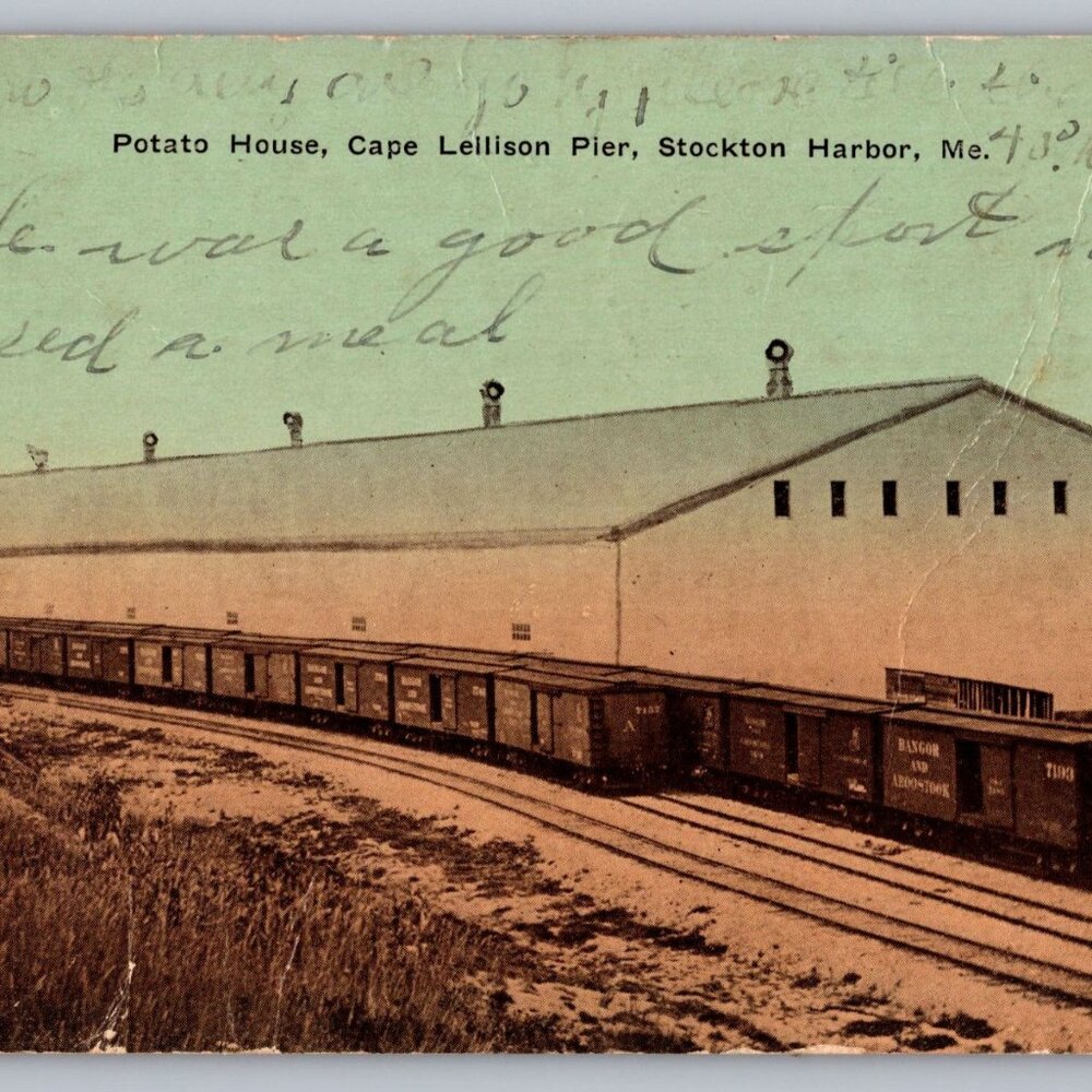 Vintage 1919 Postcard Potato House Cape LeLisson Pier Stockton Harbor ME  #1293